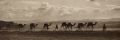 Thumbnail for version as of 04:05, 15 January 2026
